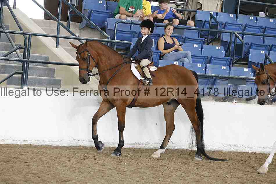 Proof 12r14_4178