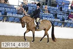 12r14_4185 proof