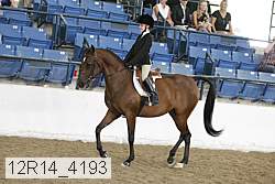 12r14_4193 proof