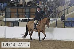 12r14_4205 proof