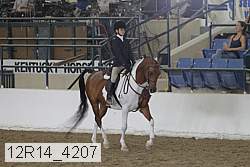 12r14_4207 proof