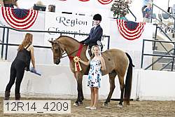 12r14_4209 proof
