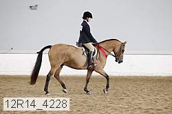 12r14_4228 proof