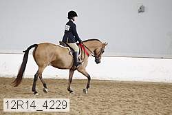 12r14_4229 proof