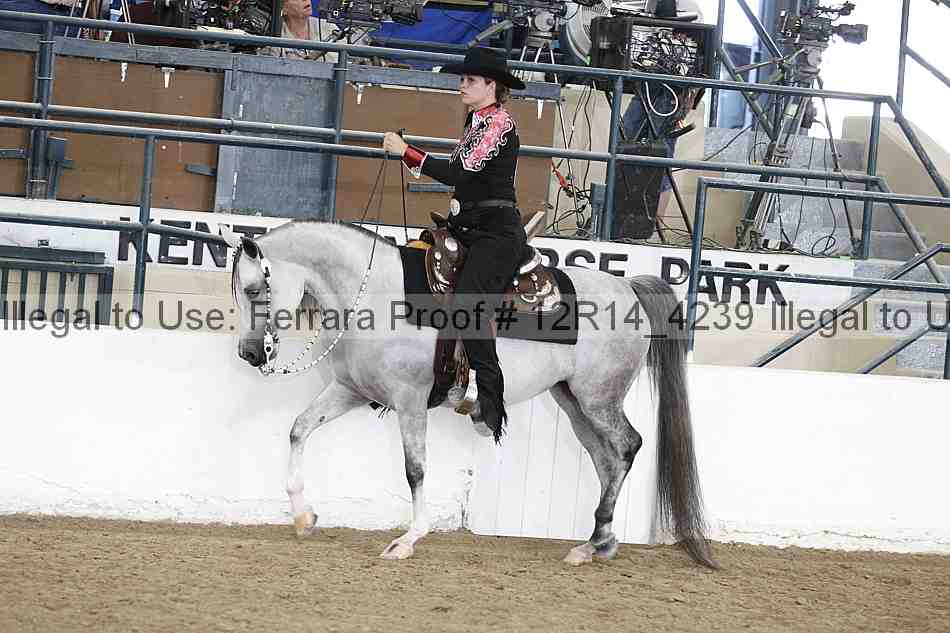 Proof 12r14_4239