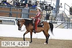 12r14_4247 proof