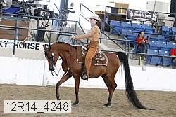 12r14_4248 proof