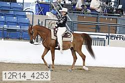 12r14_4253 proof