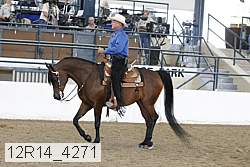 12r14_4271 proof