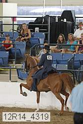 12r14_4319 proof