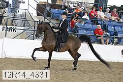 12r14_4331 proof