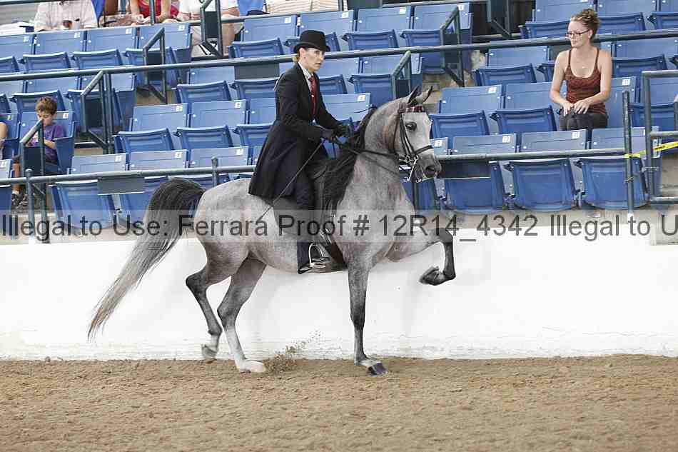 Proof 12r14_4342