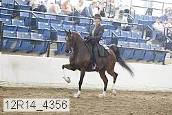 12r14_4356 proof