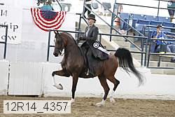 12r14_4357 proof