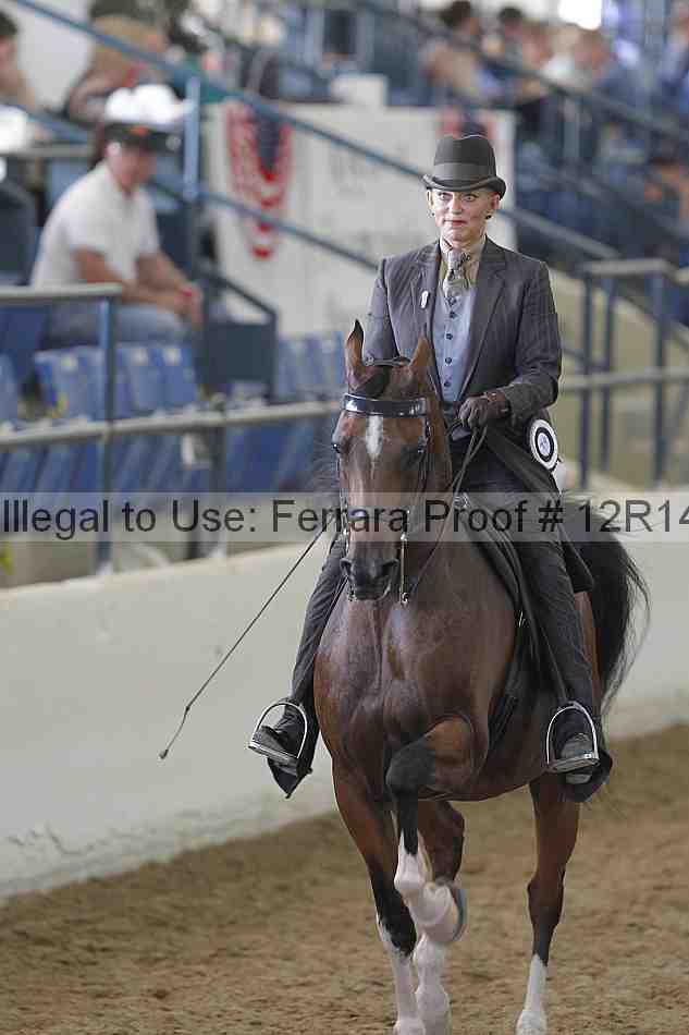 Proof 12r14_4364