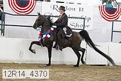 12r14_4370 proof