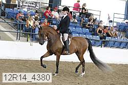 12r14_4380 proof