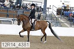12r14_4381 proof