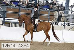 12r14_4384 proof