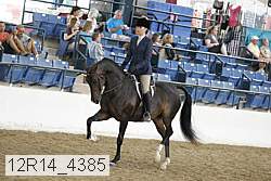 12r14_4385 proof