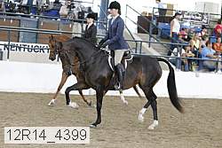12r14_4399 proof