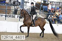 12r14_4401 proof