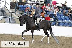 12r14_4411 proof