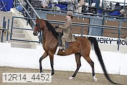 12r14_4452 proof
