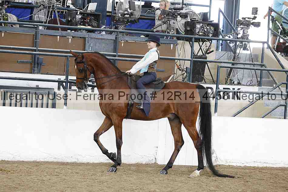 Proof 12r14_4458
