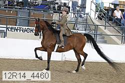 12r14_4460 proof
