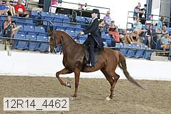 12r14_4462 proof