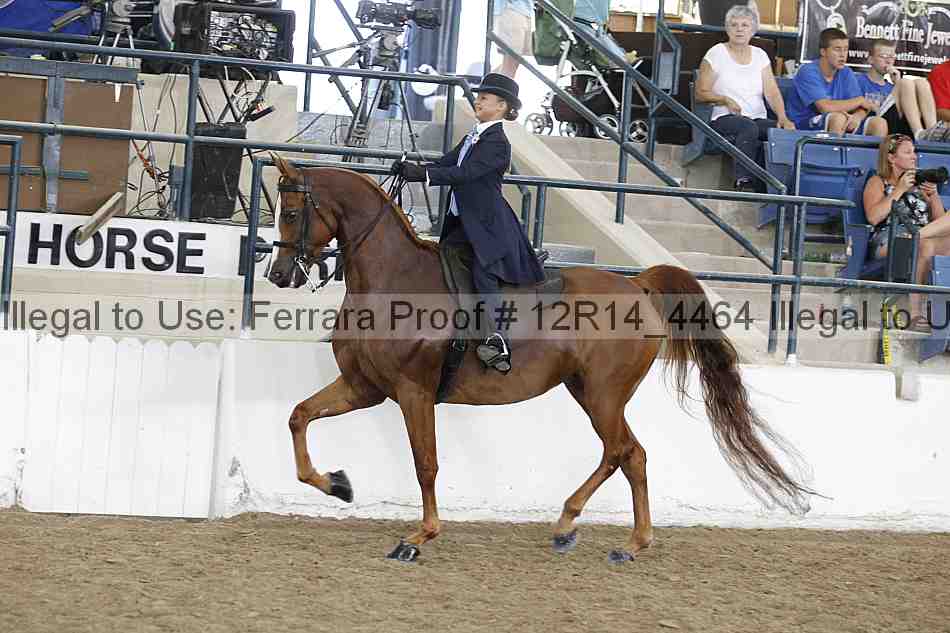 Proof 12r14_4464