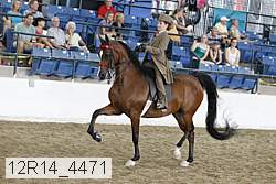 12r14_4471 proof