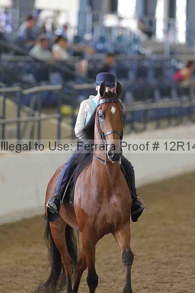 Proof 12r14_4473