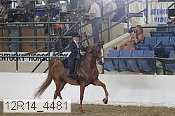 12r14_4481 proof