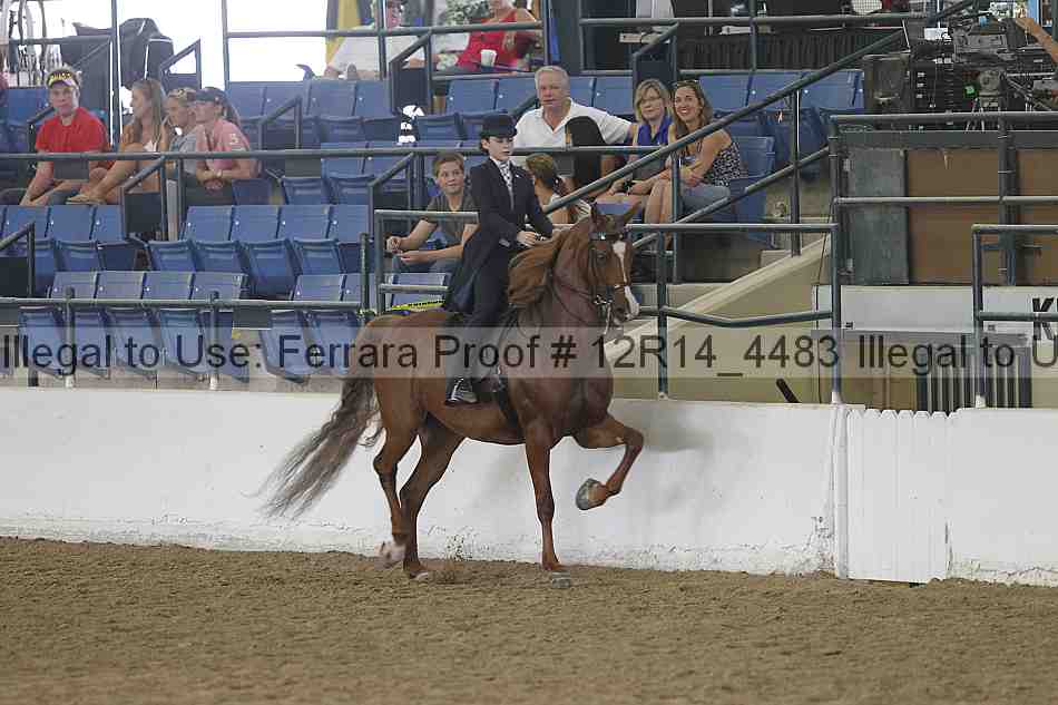 Proof 12r14_4483