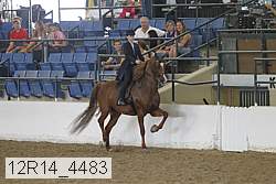 12r14_4483 proof