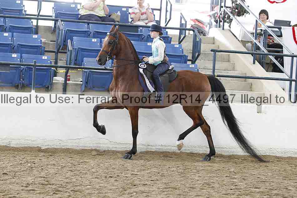 Proof 12r14_4497