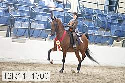 12r14_4500 proof