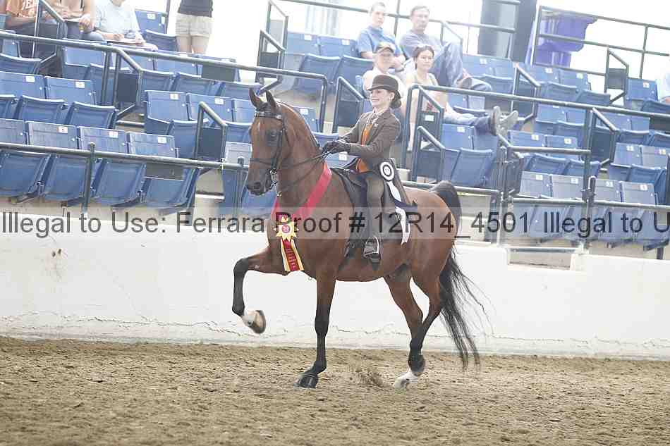 Proof 12r14_4501