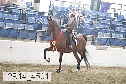 12r14_4501 proof