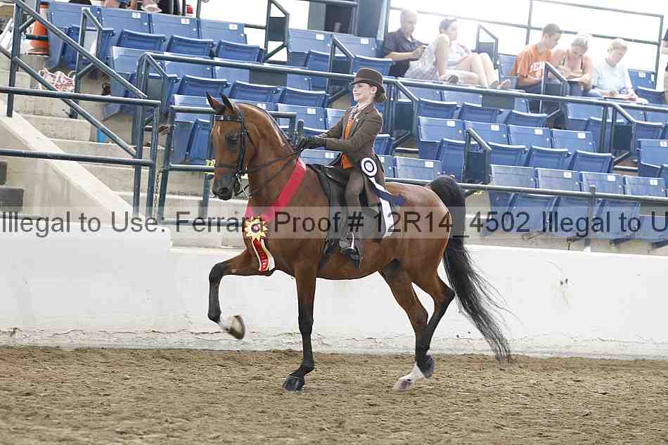 Proof 12r14_4502