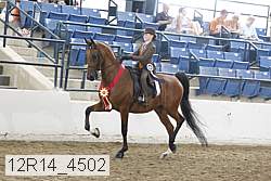 12r14_4502 proof