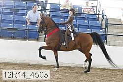 12r14_4503 proof