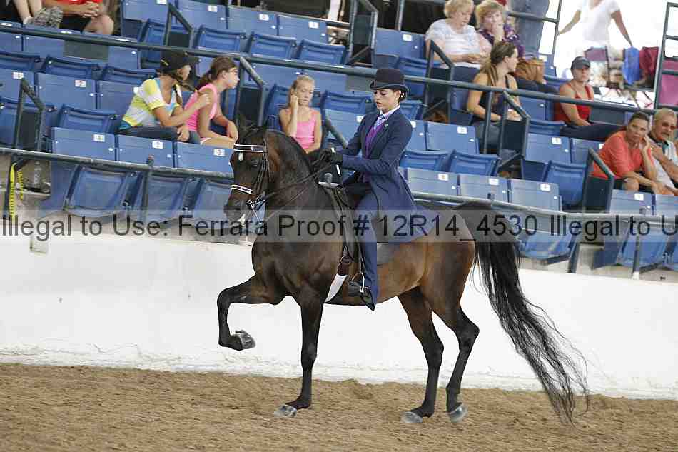 Proof 12r14_4530
