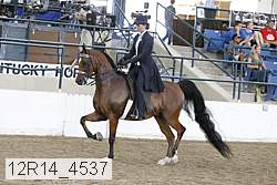 12r14_4537 proof