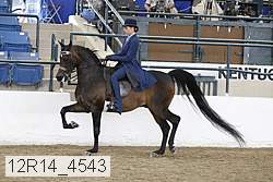 12r14_4543 proof