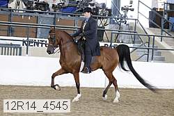 12r14_4545 proof