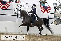 12r14_4565 proof