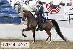 12r14_4572 proof